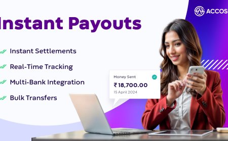 Instant Payouts for Businesses: Empowering Financial Efficiency with Accosis