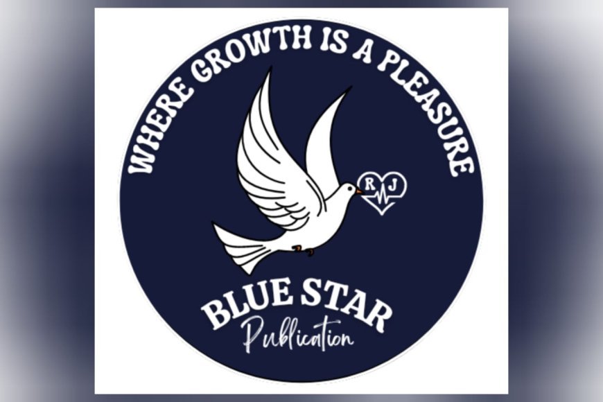 501 Writers Recognized Nationwide in Blue Star Publication’s LITSTAR Summit 2025