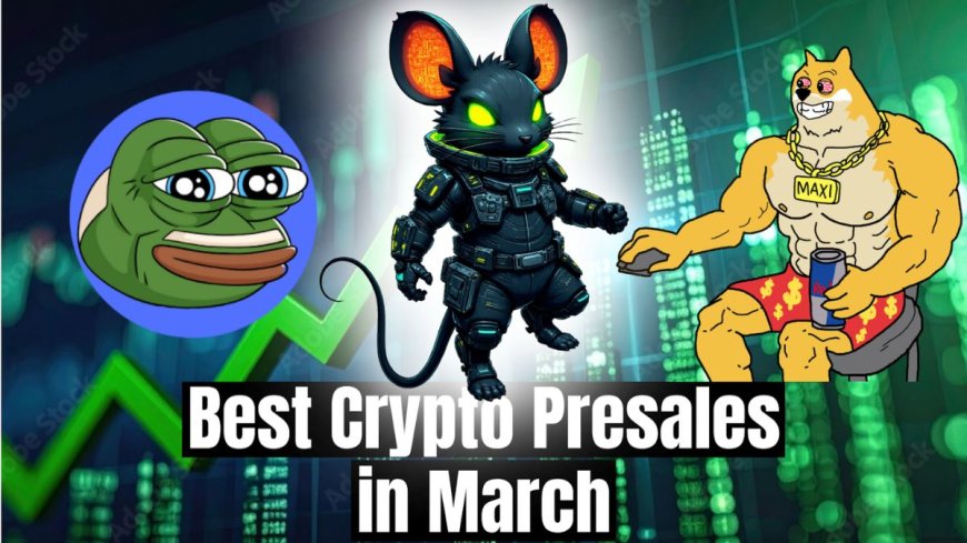 Best Crypto Presales Include MAXI and PEPA, but DeepSnitch AI Looks Harder to Ignore With Stage 7 Live and Uniswap Listing Announced